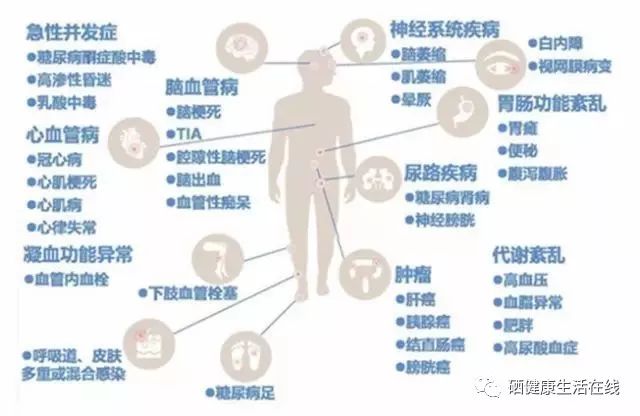 天天补硒能否治脑血栓(补硒对脑血栓有效果吗)-硒宝网