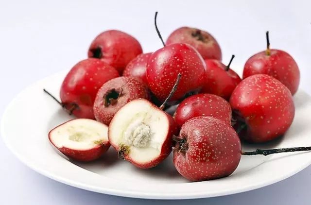 什么体质不能乱补硒的(人体可以补硒吗)-硒宝网