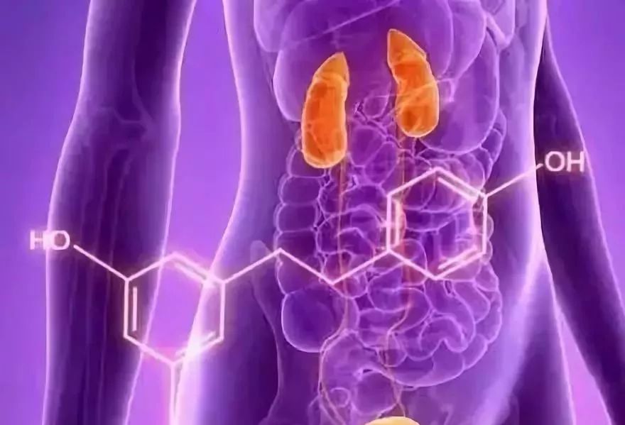 每天补硒多少可以防癌(每天补防癌硒可以长期吃吗)-硒宝网