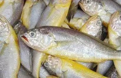 什么体质不能乱补硒的（能补硒吗）-硒宝网