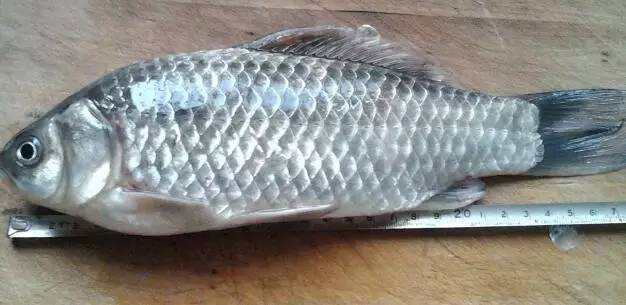 什么体质不能乱补硒的（能补硒吗）-硒宝网