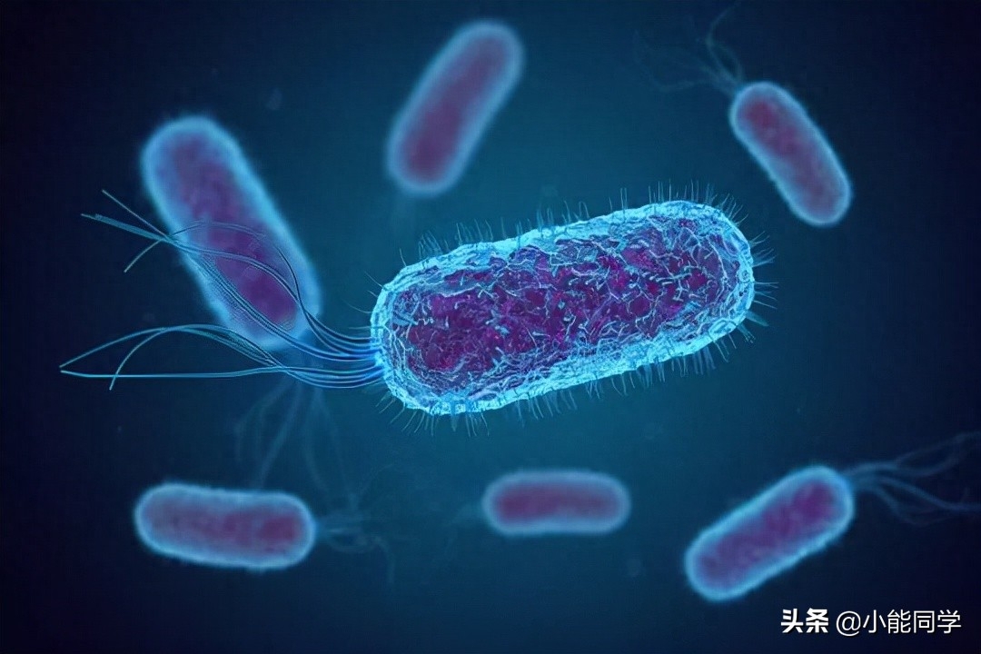 儿童缺钙锌硒怎么补好（儿童缺钙锌硒怎么补好）-硒宝网