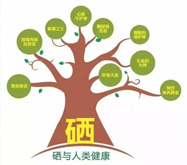 为什么要提倡全民补硒(全民补硒的重要性)-硒宝网