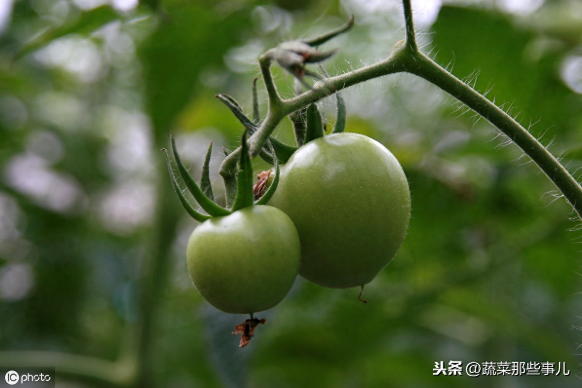 每人每天至少补硒多少(每天补硒后肝脏变化案例)-硒宝网