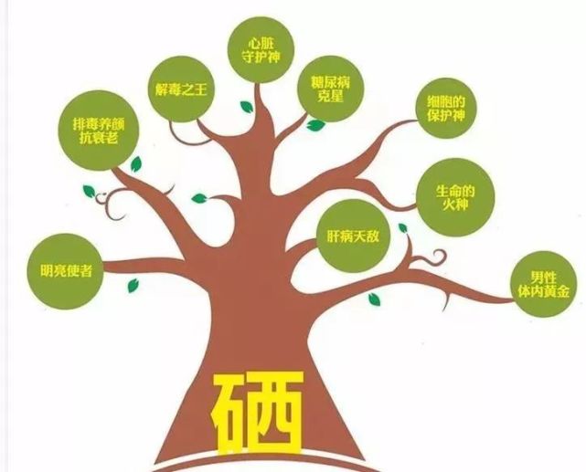 水产需要补硒元素吗吗（水产养殖补充微量元素的依据）-硒宝网