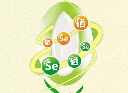 老人补硒的危害和好处(老人补硒的危害)-硒宝网