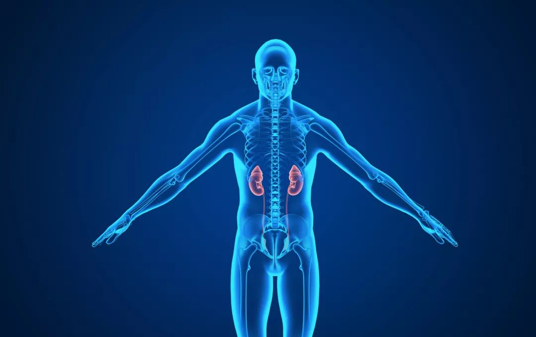 日常补硒吃多少合适呢（合适补日常吃硒片吗）-硒宝网