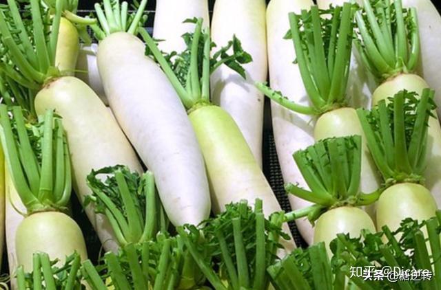 补硒的水果蔬菜有哪些(蔬菜水果补硒有什么作用)-硒宝网