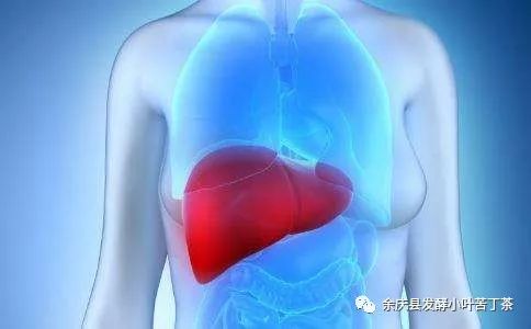 乙肝肝硬化怎么补硒呢(肝硬化补乙肝硒有用吗)-硒宝网