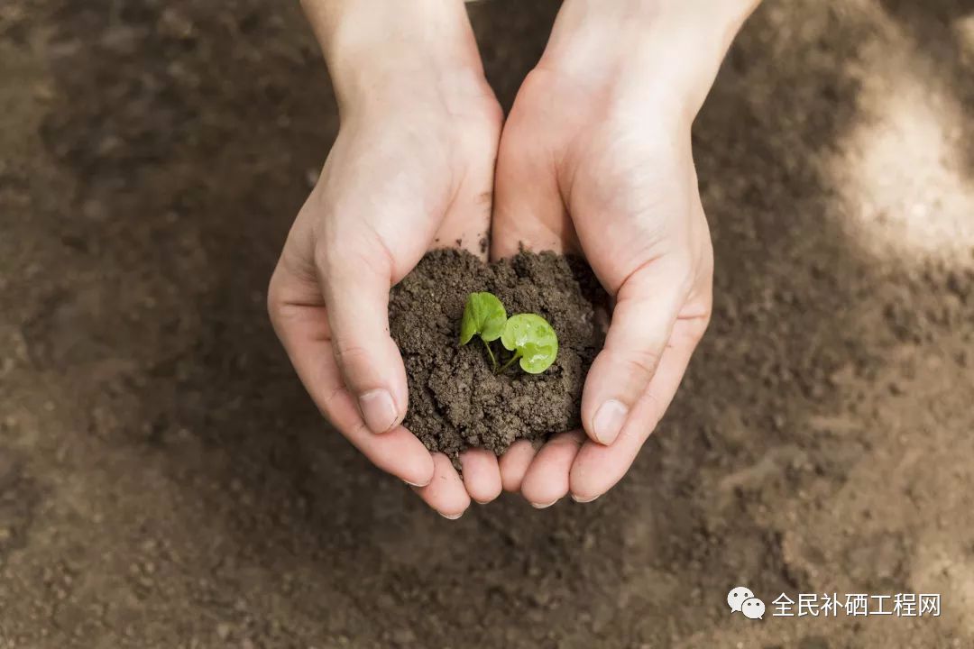 乙肝肝硬化怎么补硒呢(肝硬化补乙肝硒好吗)-硒宝网