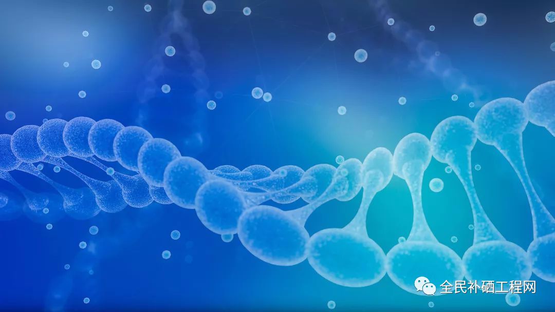 乙肝肝硬化怎么补硒呢(肝硬化补乙肝硒好吗)-硒宝网