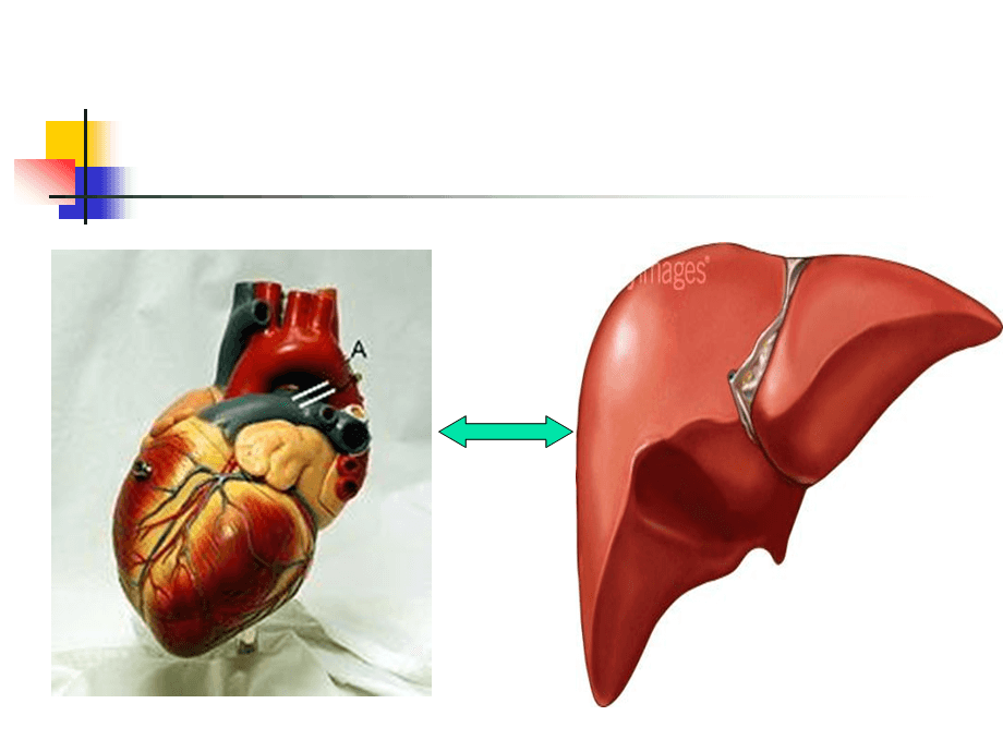 女人补硒食物有哪些呢(女人多补硒对皮肤有好处吗)-硒宝网