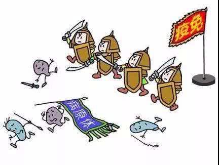 硒元素你知道怎么补吗(硒元素你知道怎么补吗)-硒宝网