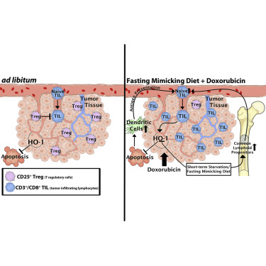 乳腺分叶肿瘤切除补硒(乳腺癌术后用长期补硒吗)-硒宝网