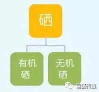 补硒的含量多少合适呢（补充硒的最大量）-硒宝网