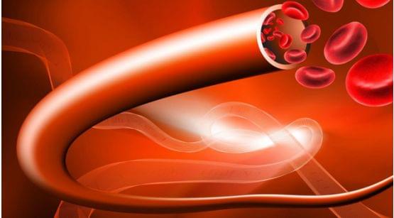 补硒血压为什么升高了（升高血压补硒的药物）-硒宝网