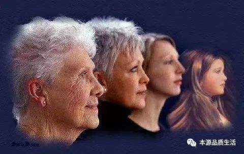 哪种中药能补硒多肽的（中药能补多肽种硒么）-硒宝网