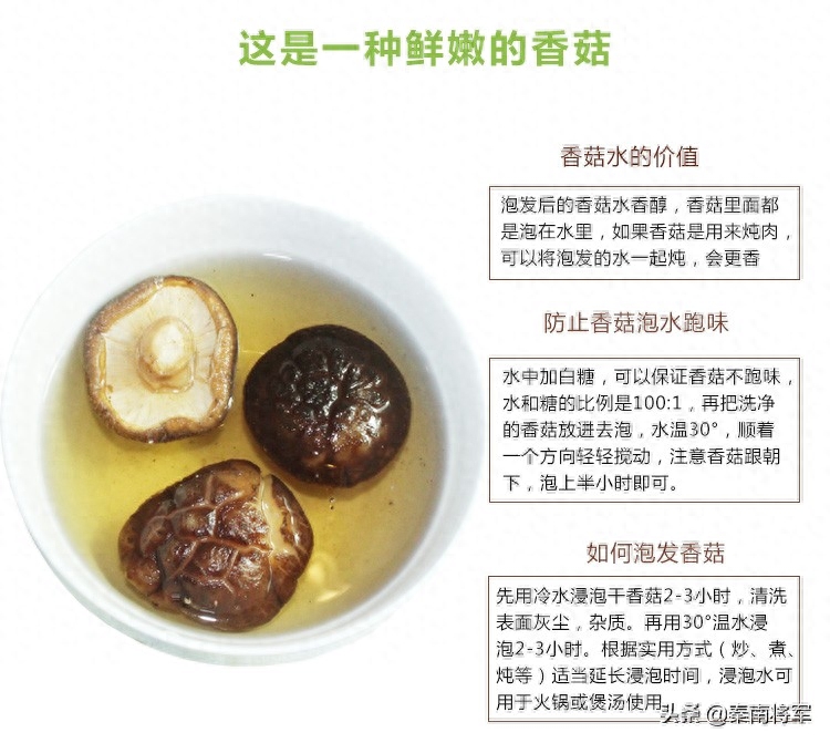 补硒的坚果有哪些品种(坚果补品种硒有什么作用)-硒宝网