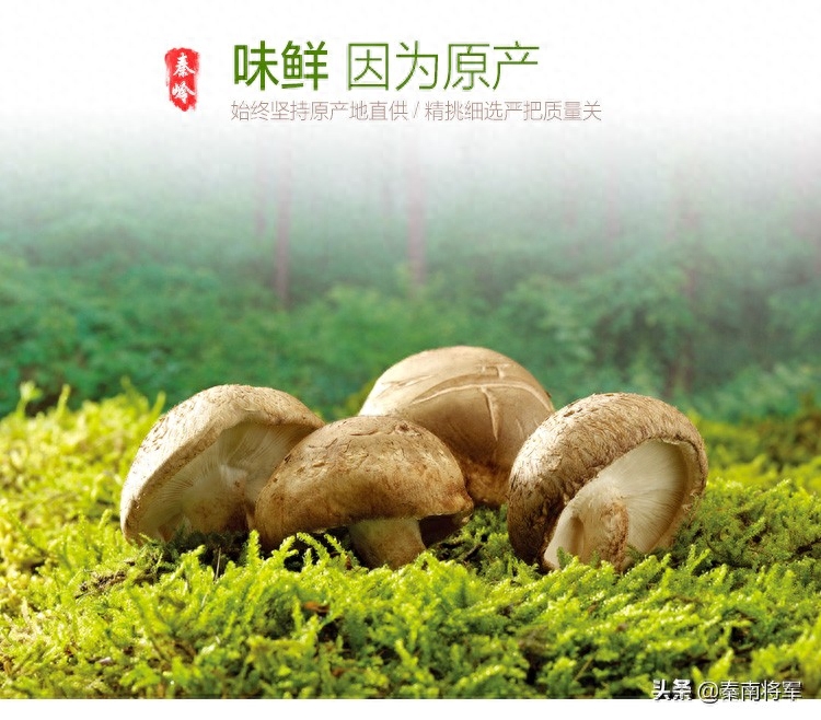 补硒的坚果有哪些品种(坚果补品种硒有什么作用)-硒宝网