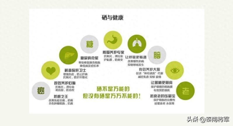 补硒的坚果有哪些品种(坚果补品种硒有什么作用)-硒宝网