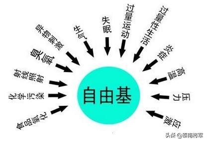 补硒的坚果有哪些品种(坚果补品种硒有什么作用)-硒宝网