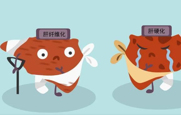 肝硬化腹水可以补硒吗(肝硬化腹水吃硒片有效果吗)-硒宝网