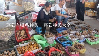 吃牛肝菌能补硒吗视频（牛肝菌补什么）-硒宝网