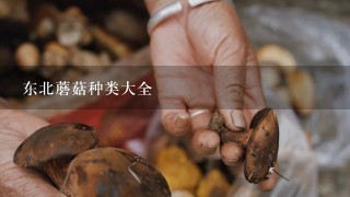 吃牛肝菌能补硒吗视频（牛肝菌补什么）-硒宝网