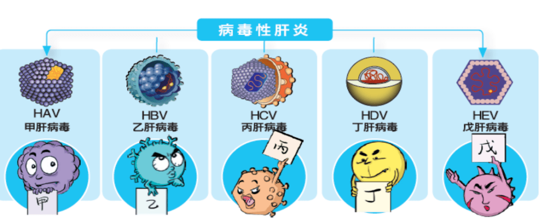 补硒对肝脏有什么好处（补硒对肝病患者有好处吗）-硒宝网