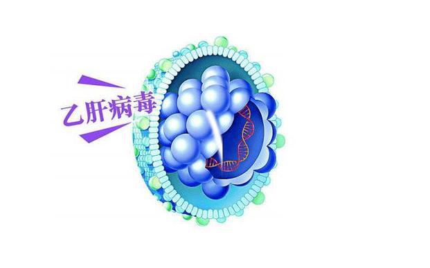 补硒对肝脏有什么好处（补硒对肝病患者有好处吗）-硒宝网