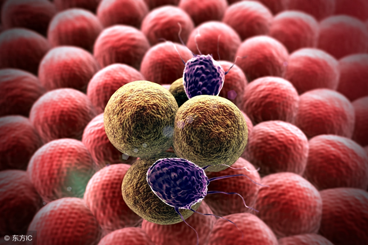 补硒对宫颈有什么好处（那种硒对宫颈好）-硒宝网