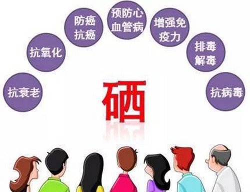 有机硒元素补剂有哪些（补充有机硒）-硒宝网