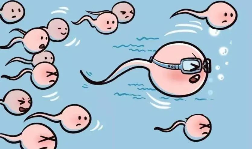 备孕男士如何补硒元素（男士补元素备孕硒有用吗）-硒宝网