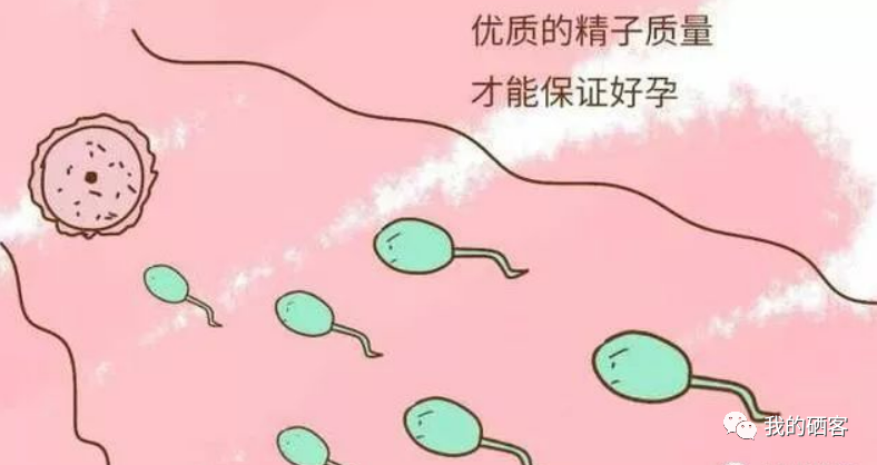 备孕男士如何补硒元素(备孕男士如何补硒元素)-硒宝网