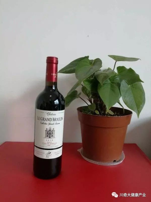 类风湿因子高能补硒吗（风湿因子高可以吃海鲜吗）-硒宝网