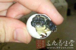 孕晚期缺钙锌硒怎么补(孕锌晚期补缺钙硒可以吗)-硒宝网