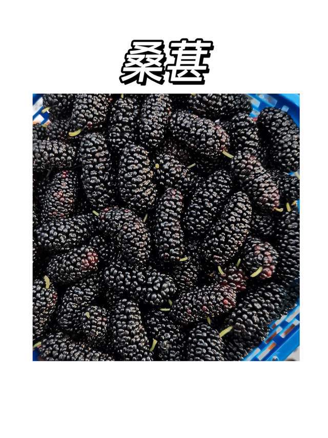 长期补硒会发胖吗女生(吃硒片会胖吗)-硒宝网