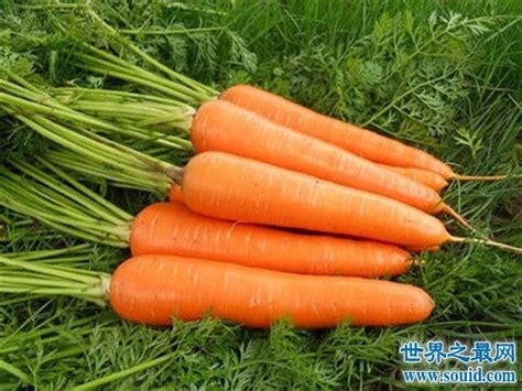 补硒元素的水果有哪些(水果补元素硒有什么作用)-硒宝网