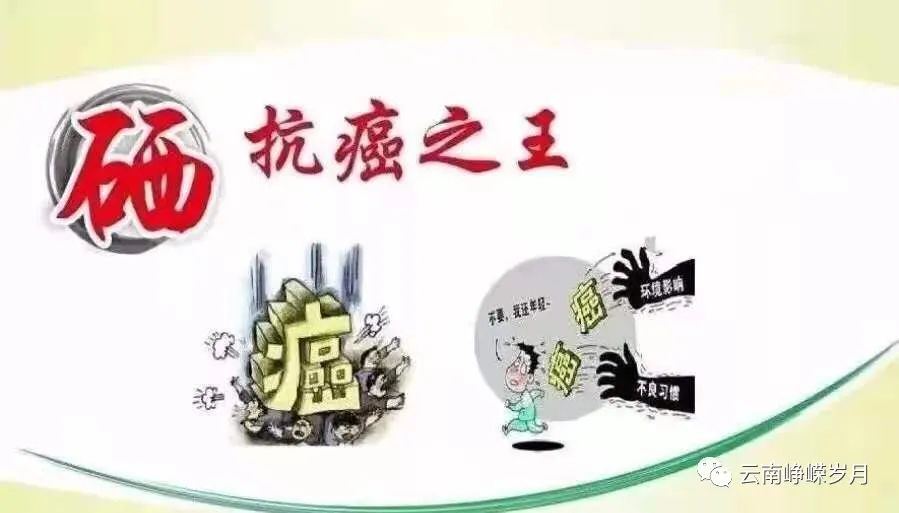 补锌和补硒用什么方法(补锌和补硒用什么方法)-硒宝网