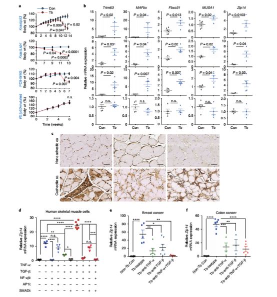 补锌和补硒用什么方法（锌硒如何补）-硒宝网