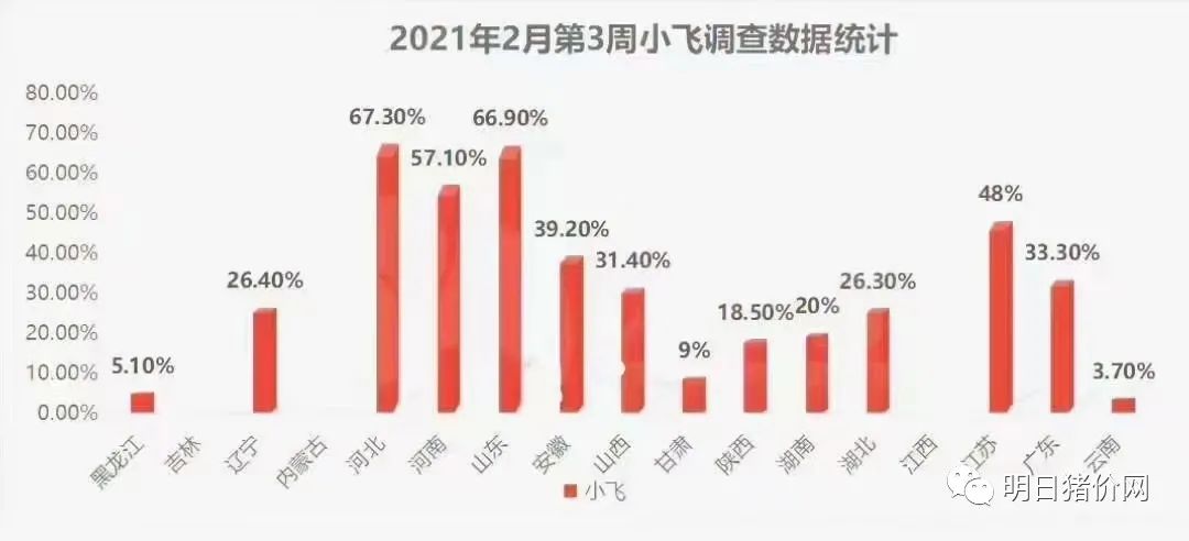 仔猪几天打补硒针最好（仔猪七天补硒有什么好处）-硒宝网