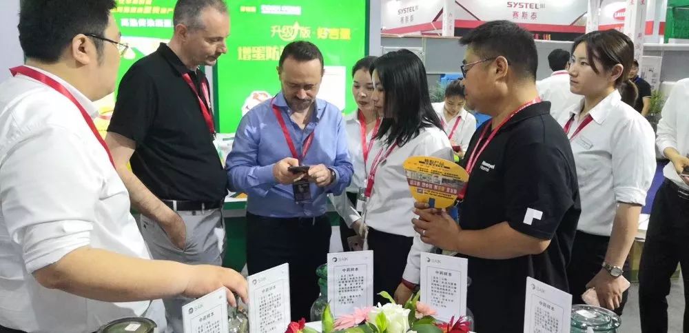 仔猪几天打补硒针最好（仔猪七天补硒有什么好处）-硒宝网