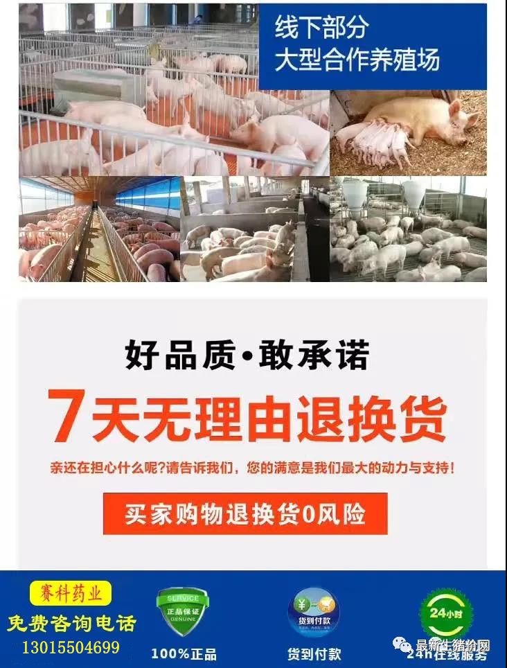 仔猪几天打补硒针最好（仔猪七天补硒有什么好处）-硒宝网