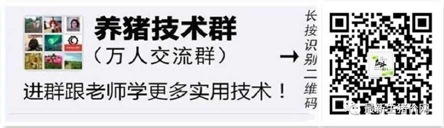 仔猪几天打补硒针最好（仔猪七天补硒有什么好处）-硒宝网