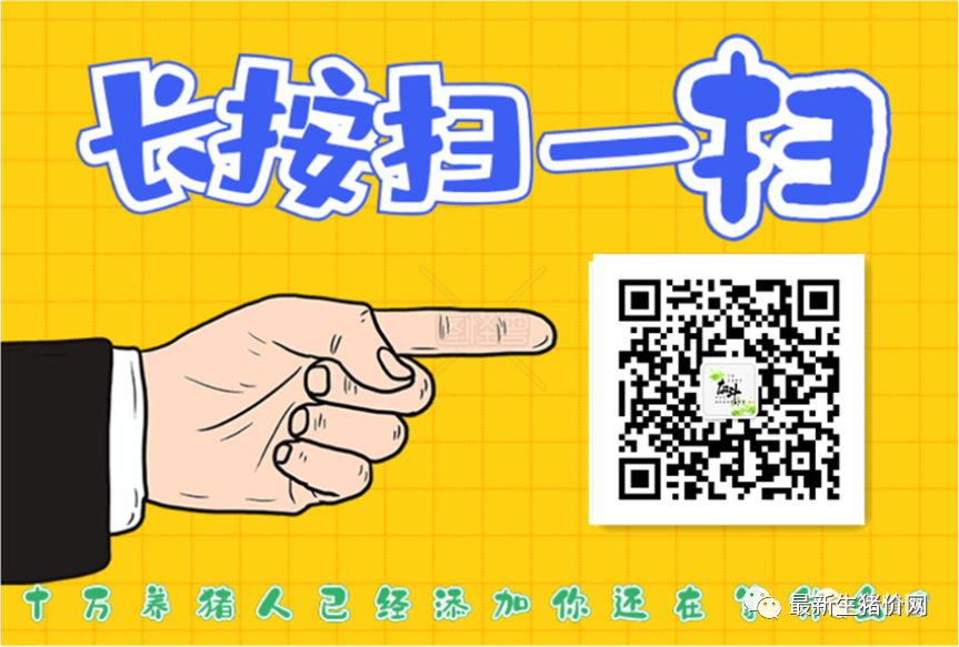 仔猪几天打补硒针最好（仔猪七天补硒有什么好处）-硒宝网