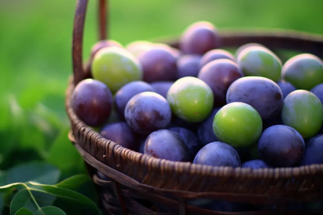 癌症病人补硒每日多少(癌症病人每天补硒的量)-硒宝网