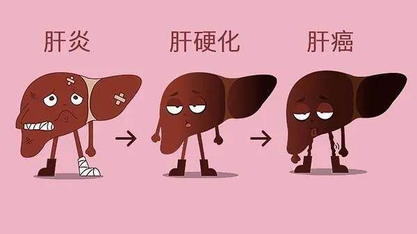 乙型肝炎应该怎么补硒（补肝炎应该乙型硒病毒吗）-硒宝网