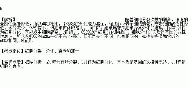 小孩补硒促进生长激素(小孩补硒促进生长激素)-硒宝网