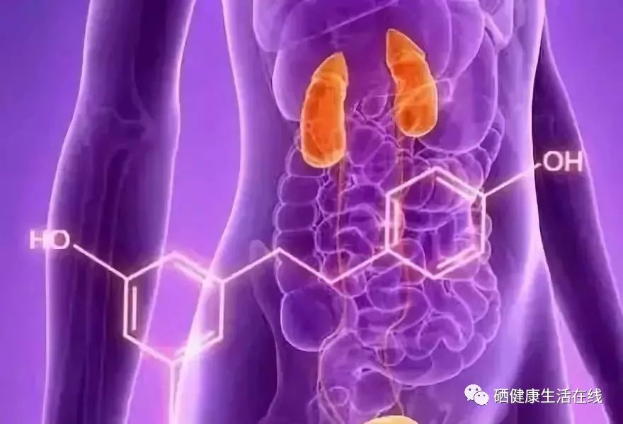 成人每天主要补硒多少(成人一天补多少硒)-硒宝网