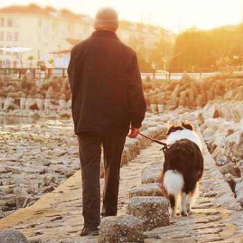 人有哪些疾病需要补硒（需要补充硒元素的人）-硒宝网